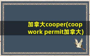 加拿大cooper(coop work permit加拿大)